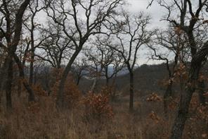 D69 Hensley Road - Photo 23