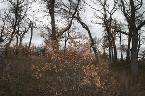 D69 Hensley Road - Photo 33