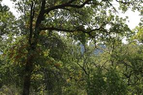 D69 Hensley Road - Photo 4