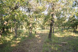 1020 Post Oak Road - Photo 11