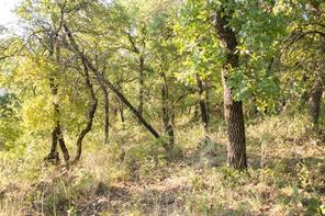 1020 Post Oak Road - Photo 16
