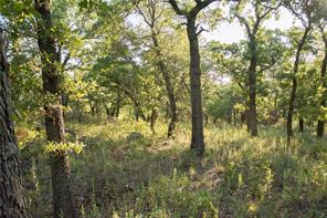 1020 Post Oak Road - Photo 23