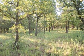 1020 Post Oak Road - Photo 34