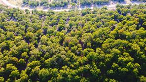1020 Post Oak Road - Photo 4