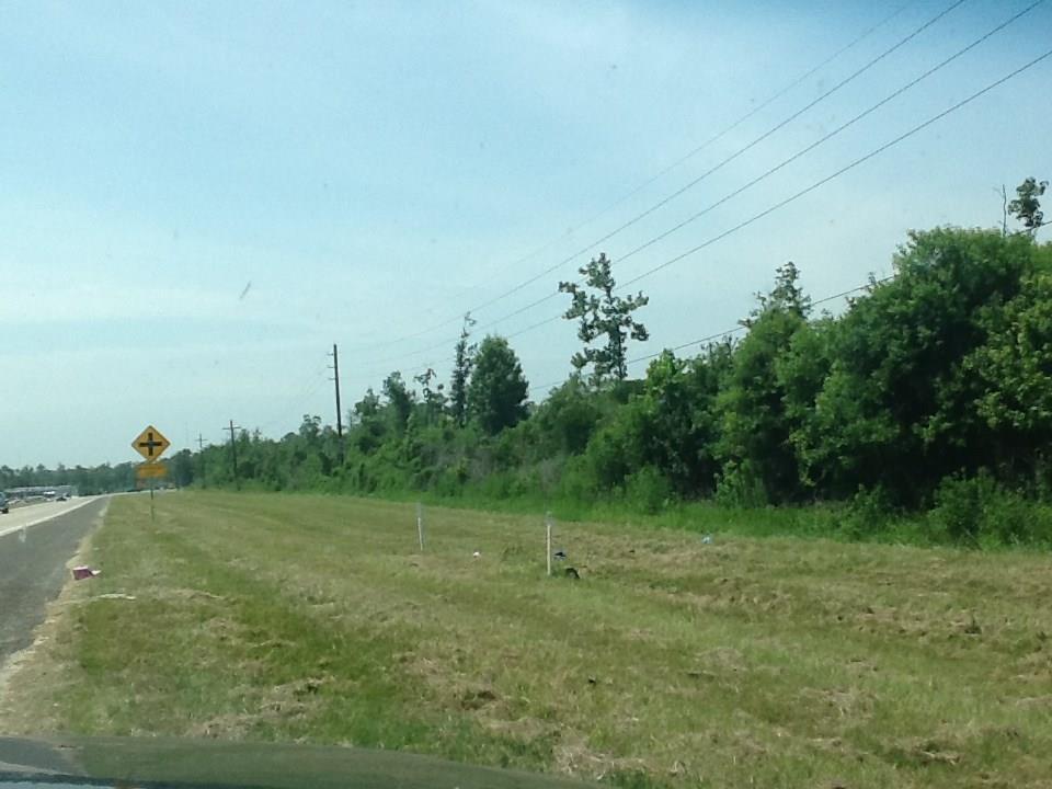 1201 HWY 146 ByPass ByPass - Photo 1