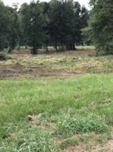 1201 HWY 146 ByPass ByPass - Photo 3