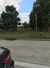 1201 HWY 146 ByPass ByPass - Photo 4