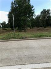 1201 HWY 146 ByPass ByPass - Photo 5
