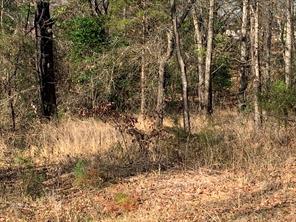 13609 I-20 - Photo 20
