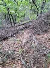 00000 Hwy 59 S - Photo 11