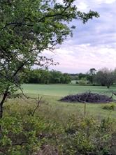00000 Hwy 59 S - Photo 14