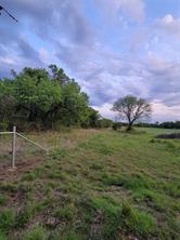 00000 Hwy 59 S - Photo 17