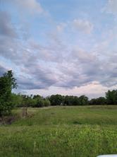00000 Hwy 59 S - Photo 18