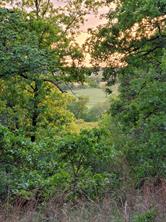 00000 Hwy 59 S - Photo 2