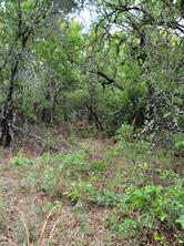 00000 Hwy 59 S - Photo 3
