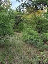00000 Hwy 59 S - Photo 4
