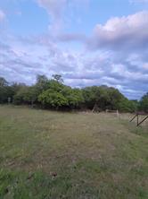 00000 Hwy 59 S - Photo 5