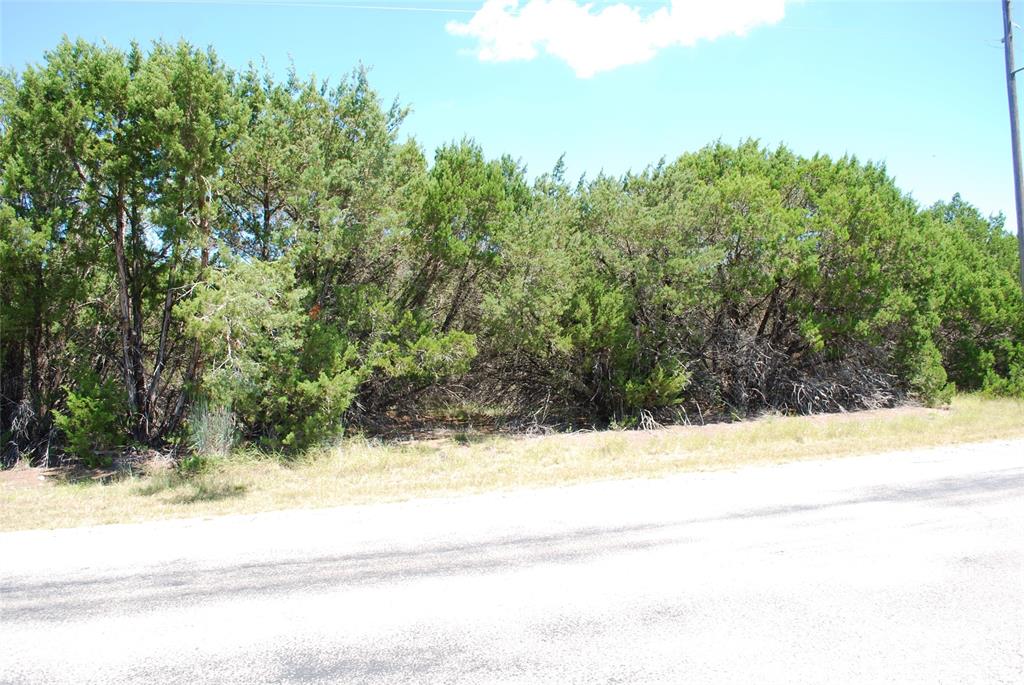 8183 Cedar Crest Drive - Photo 1