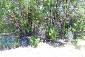 8183 Cedar Crest Drive - Photo 2