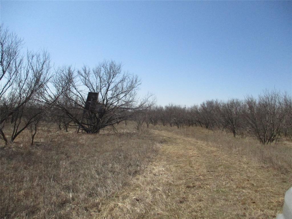 Lot 5 Old Joy Shannon - Photo 1