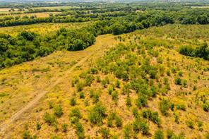 TBD 37+/- Tract 1 County Road 4526 - Photo 9