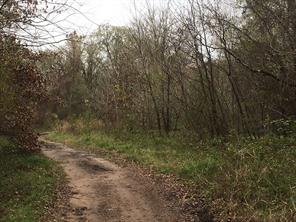 TBD Big Creek - Photo 2