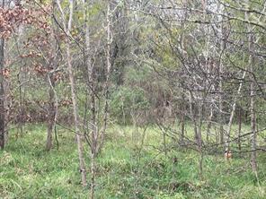 TBD Big Creek - Photo 3