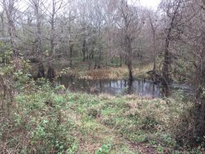 TBD Big Creek - Photo 4