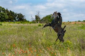 20ac US Hwy 377 - Photo 10