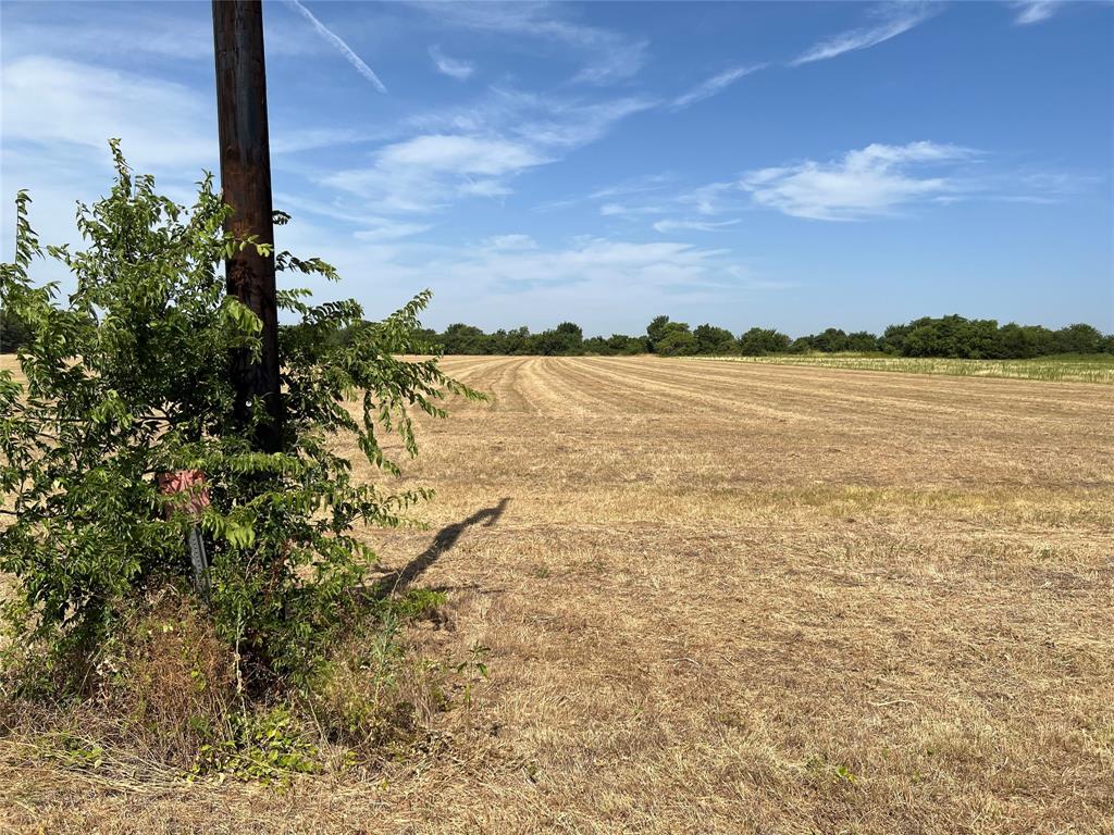 Lot 3 Rodgers Road - Photo 1
