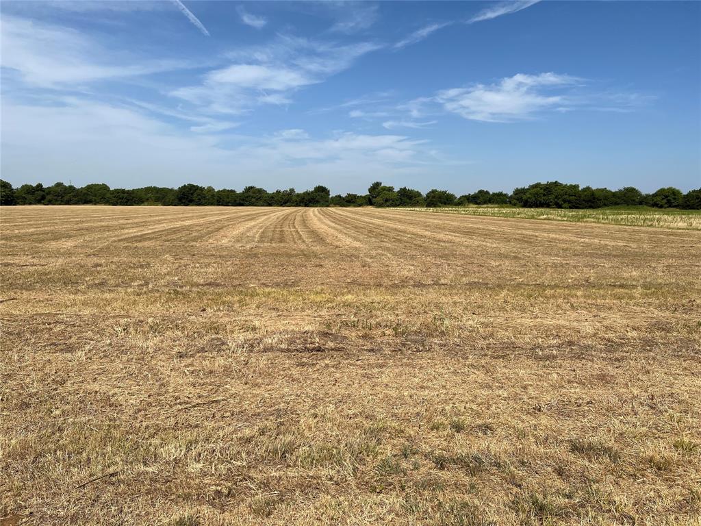 Lot 3 Rodgers Road - Photo 2