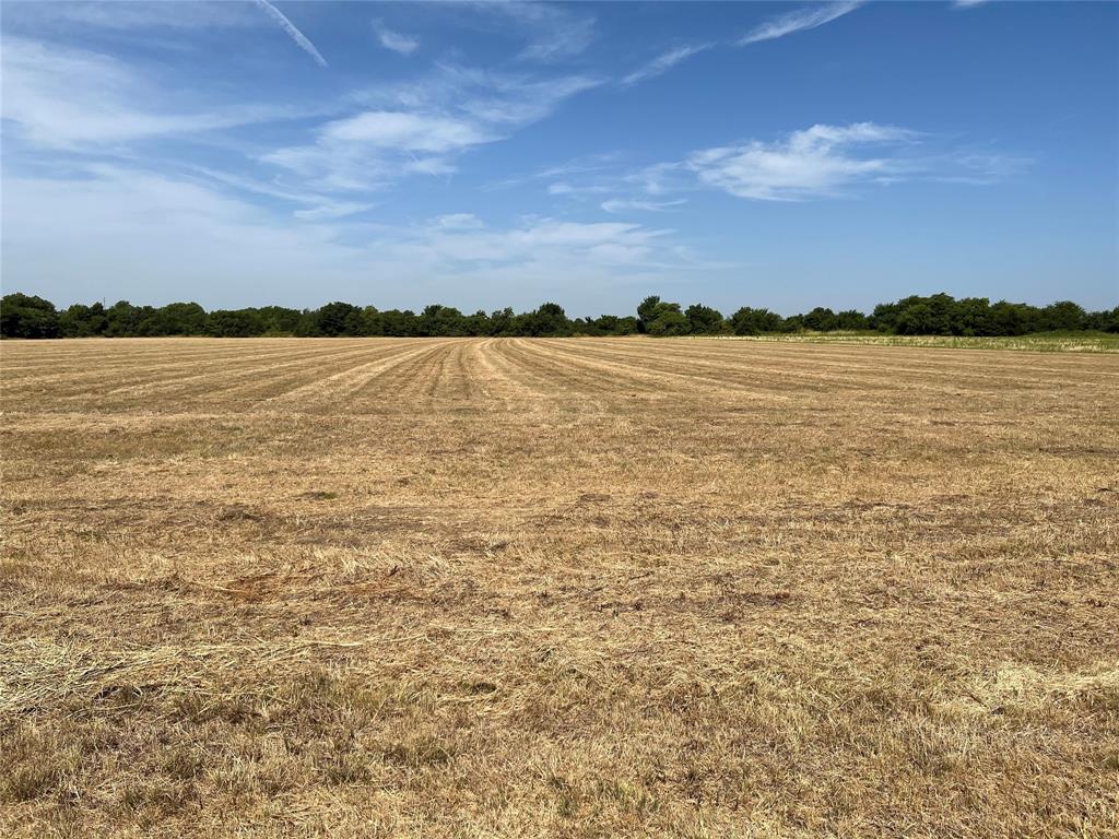Lot 4 Rodgers Road - Photo 1