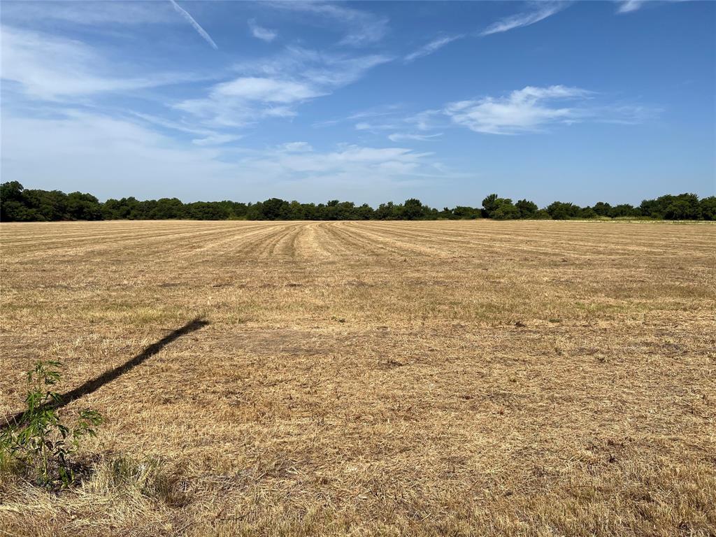 Lot 4 Rodgers Road - Photo 2