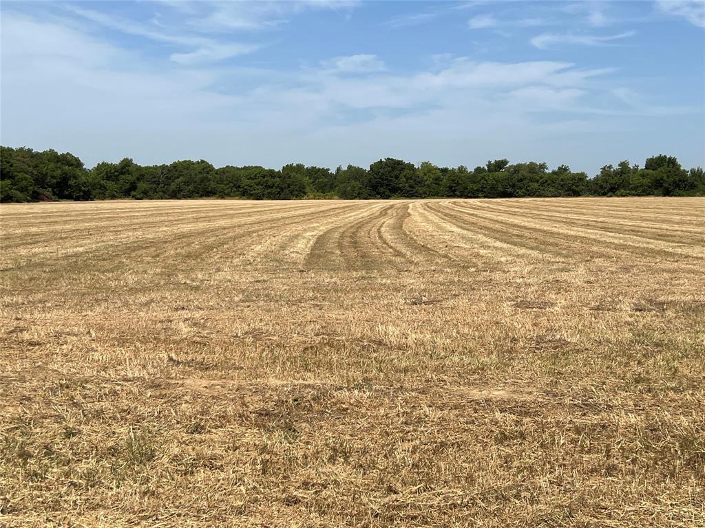 Lot 5 Rodgers Road - Photo 1