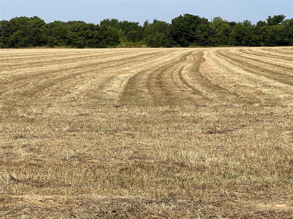 Lot 5 Rodgers Road - Photo 2