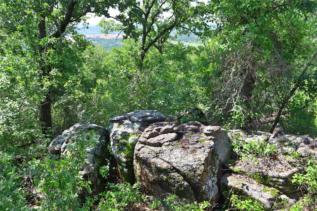 B26 Post Oak Road - Photo 1
