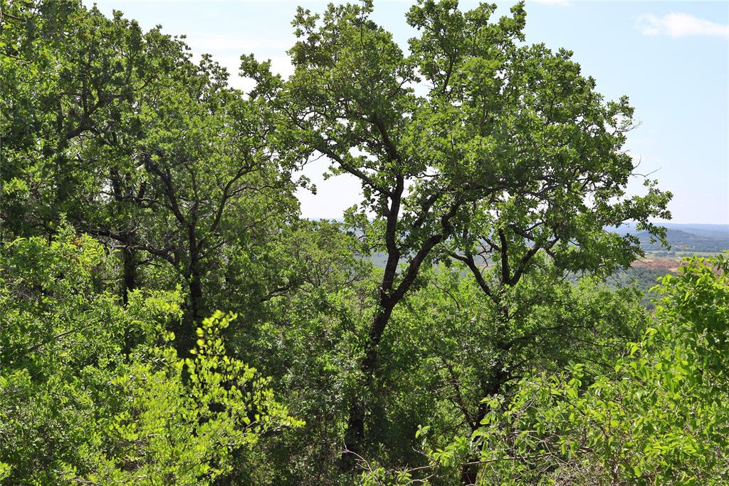 B26 Post Oak Road - Photo 7