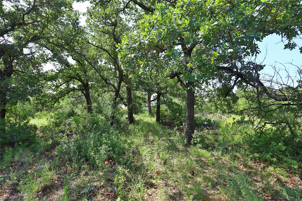 B26 Post Oak Road - Photo 9