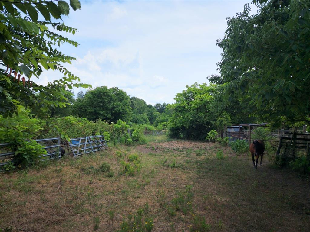 2110 Fm 275 - Photo 12