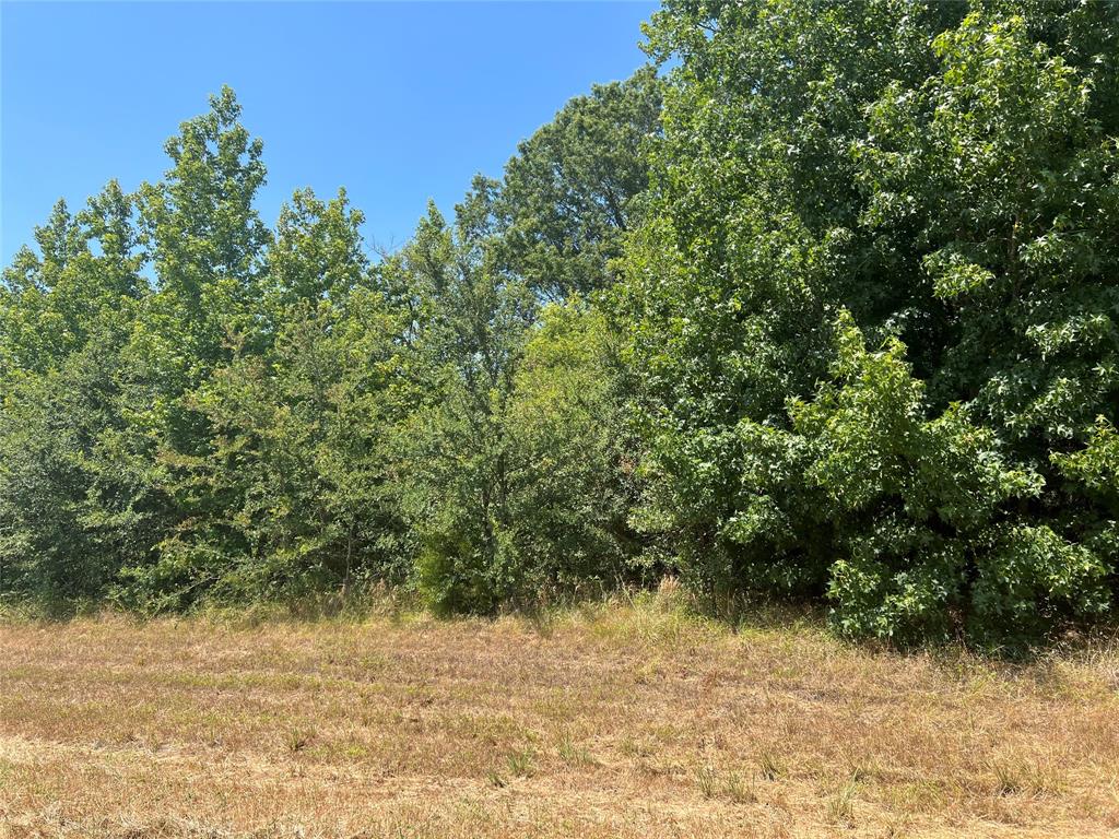 000 FM 3042 - Photo 1