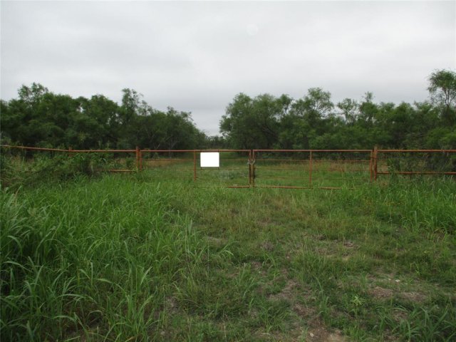 Lot 7 Old Joy Shannon