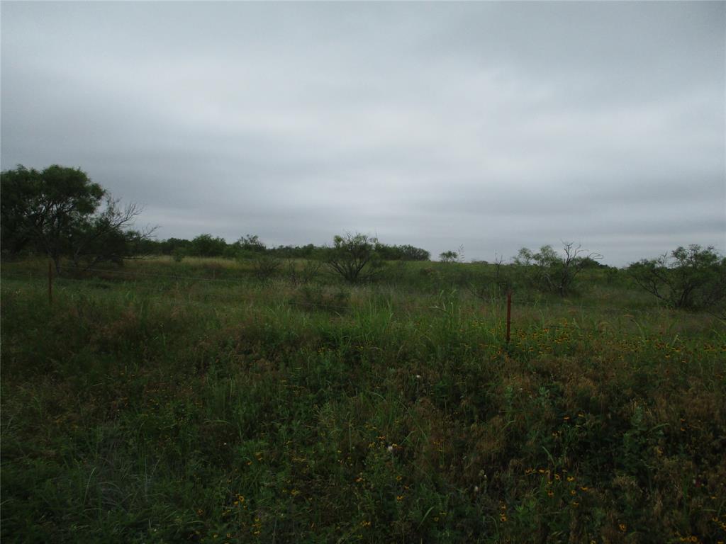 Lot 7 Old Joy Shannon - Photo 3