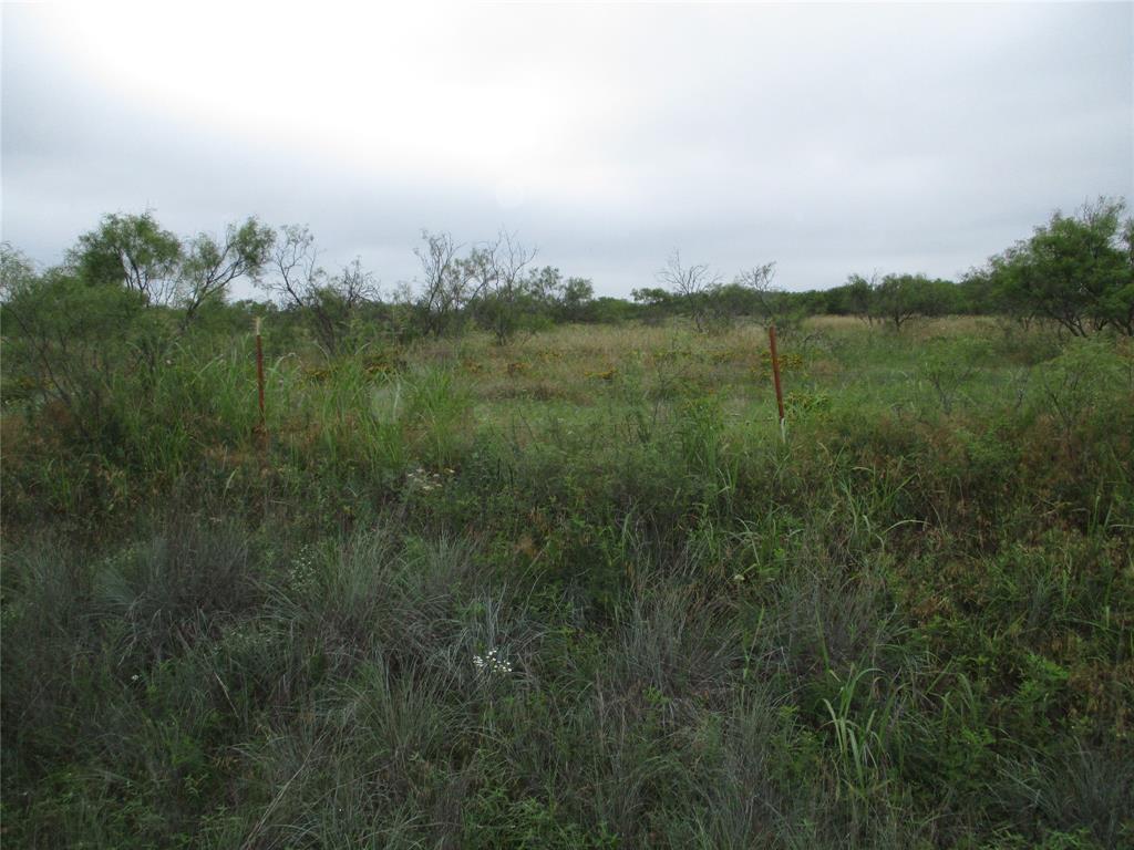 Lot 7 Old Joy Shannon - Photo 6
