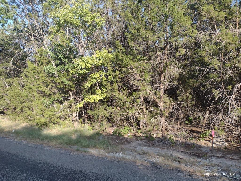 1011 Comanche Cove Drive - Photo 3