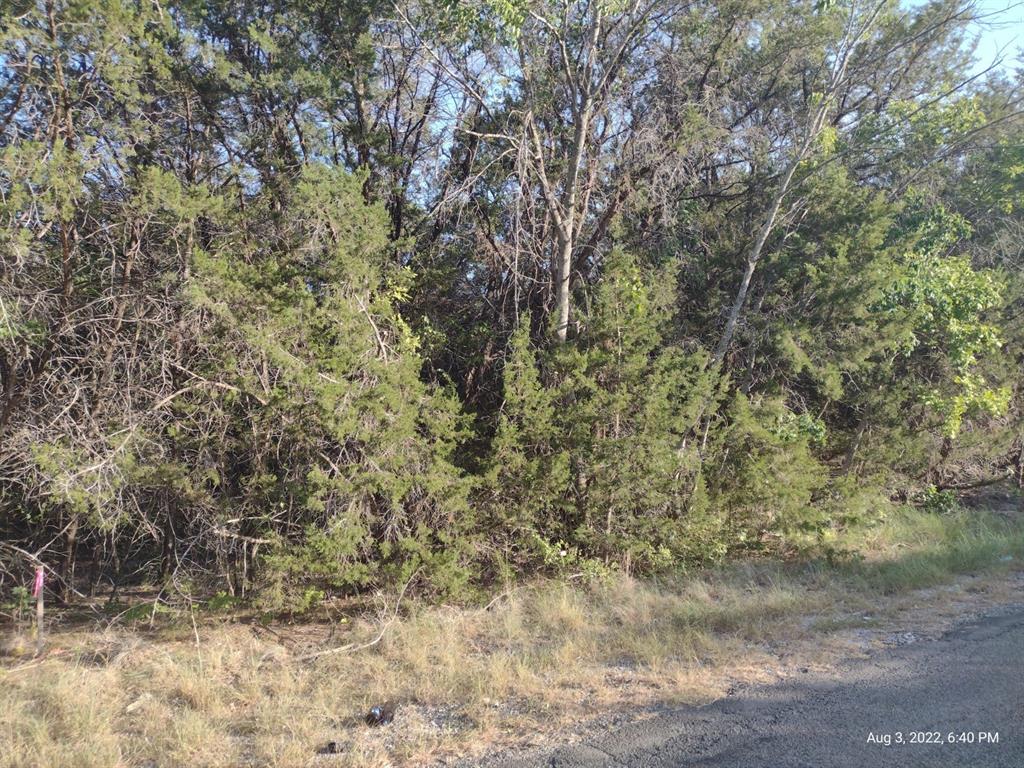 1011 Comanche Cove Drive - Photo 4