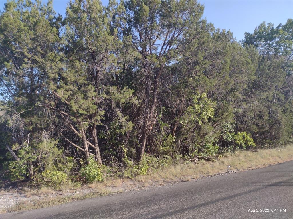 1011 Comanche Cove Drive - Photo 5