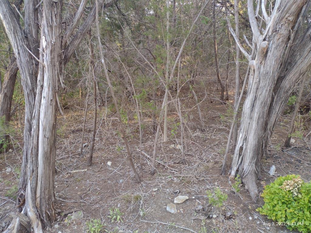 1011 Comanche Cove Drive - Photo 8