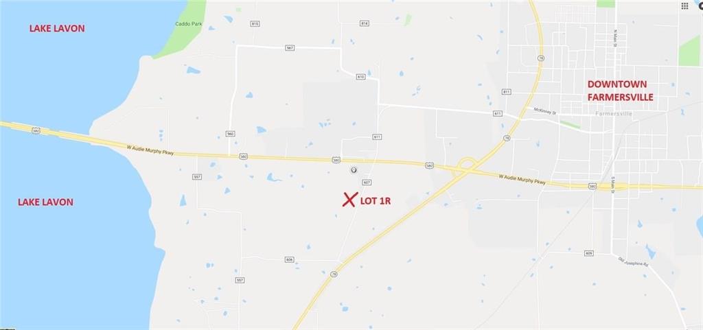 Lot 1R County Road 607 - Photo 4