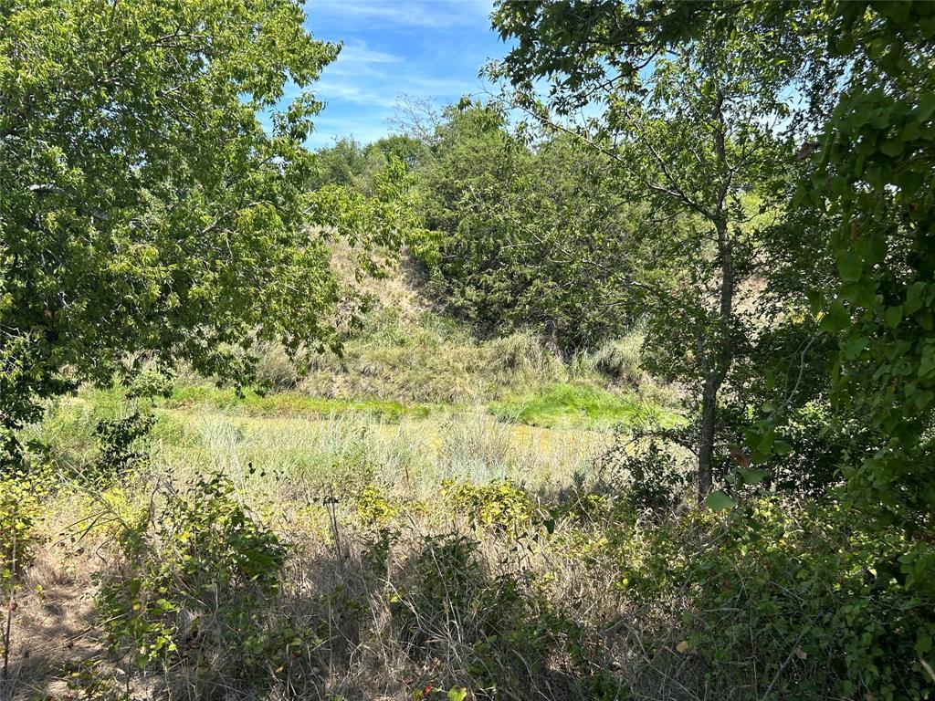 3044 Winding Creek Trail - Photo 17
