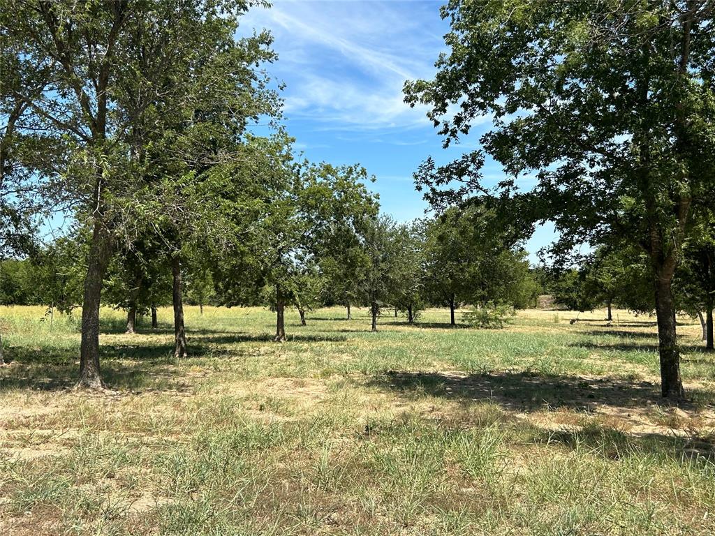 3044 Winding Creek Trail - Photo 6